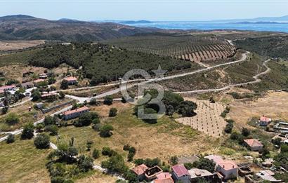 EŞSİZ KONUMDA KÖY İÇİ TARLA – KARABURUN PARLAK MAHALLESİ – 4.079 M