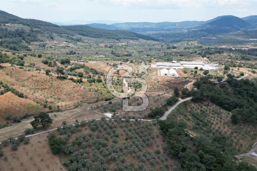 KEMALPAŞA YEŞİLKÖY’DE KADASTRAL YOLA CEPHELİ 5 DÖNÜM YATIRIMLIK ARAZİ