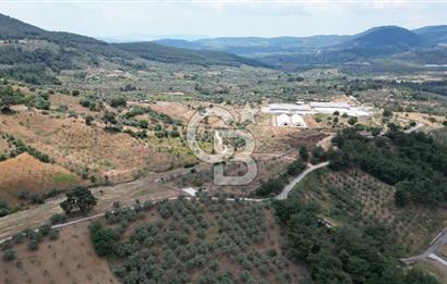 KEMALPAŞA YEŞİLKÖY’DE KADASTRAL YOLA CEPHELİ 5 DÖNÜM YATIRIMLIK ARAZİ