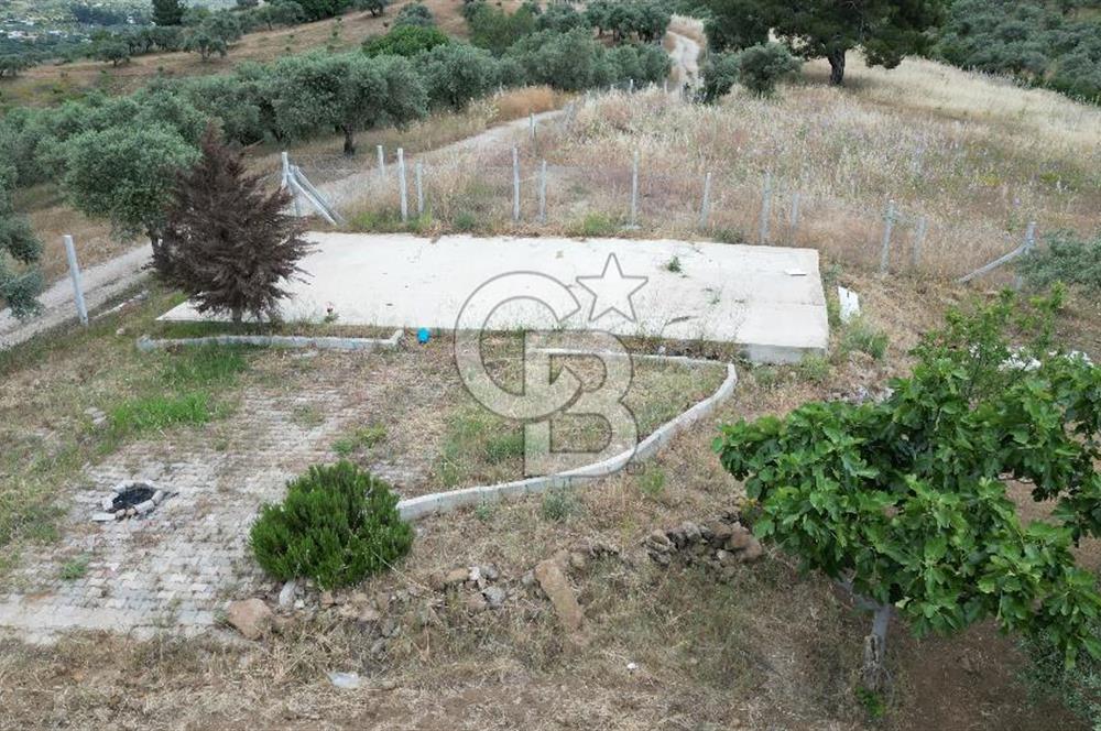 KEMALPAŞA YEŞİLKÖY’DE KADASTRAL YOLA CEPHELİ 5 DÖNÜM YATIRIMLIK ARAZİ