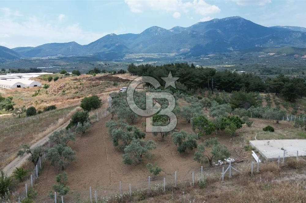 KEMALPAŞA YEŞİLKÖY’DE KADASTRAL YOLA CEPHELİ 5 DÖNÜM YATIRIMLIK ARAZİ