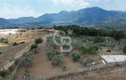 KEMALPAŞA YEŞİLKÖY’DE KADASTRAL YOLA CEPHELİ 5 DÖNÜM YATIRIMLIK ARAZİ