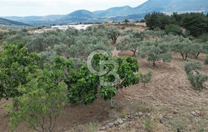 KEMALPAŞA YEŞİLKÖY’DE KADASTRAL YOLA CEPHELİ 5 DÖNÜM YATIRIMLIK ARAZİ