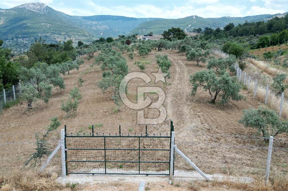 KEMALPAŞA YEŞİLKÖY’DE KADASTRAL YOLA CEPHELİ 5 DÖNÜM YATIRIMLIK ARAZİ