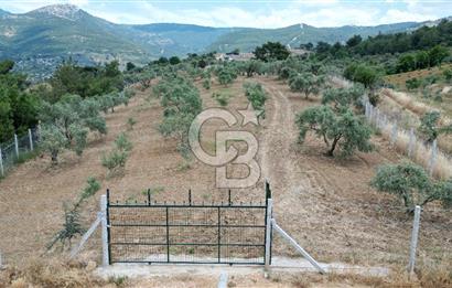 KEMALPAŞA YEŞİLKÖY’DE KADASTRAL YOLA CEPHELİ 5 DÖNÜM YATIRIMLIK ARAZİ