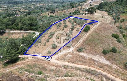 KEMALPAŞA YEŞİLKÖY’DE KADASTRAL YOLA CEPHELİ 5 DÖNÜM YATIRIMLIK ARAZİ