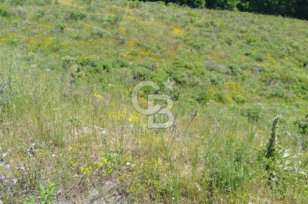 Çanakkale Lapseki Dumanlı Köyü 5066 m² Satılık Tarla
