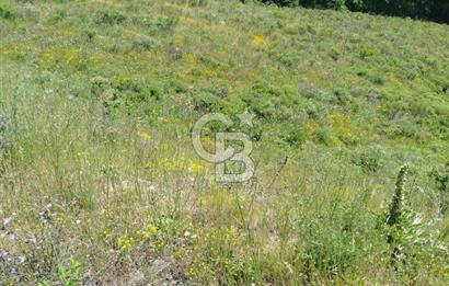 Çanakkale Lapseki Dumanlı Köyü 5066 m² Satılık Tarla