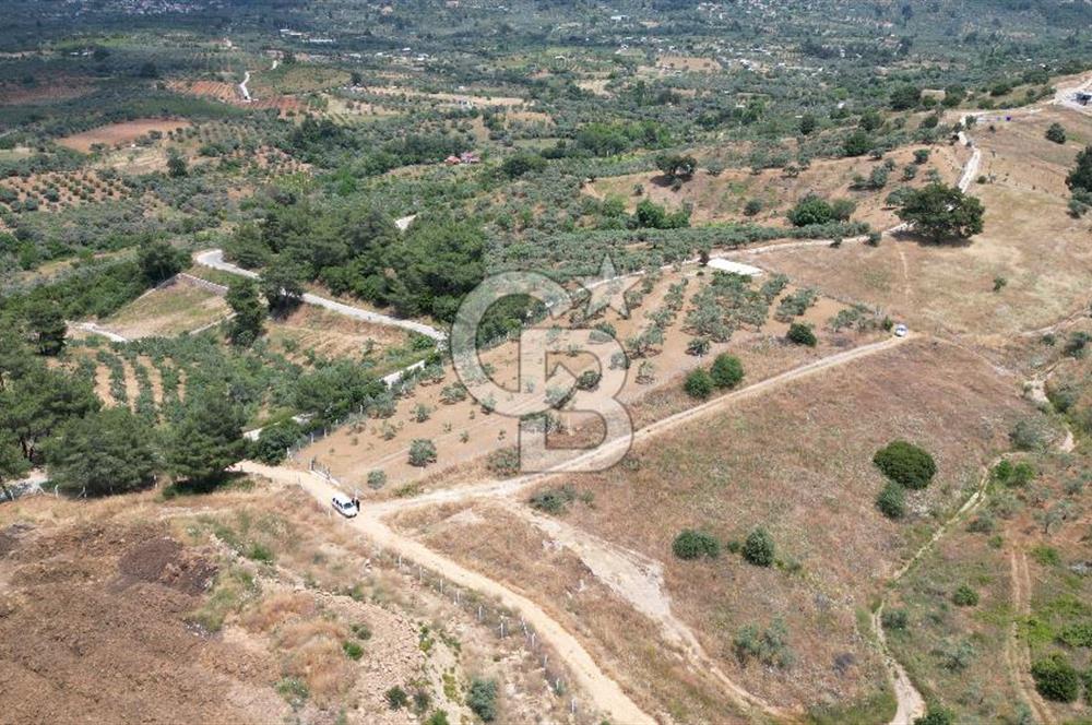 KEMALPAŞA YEŞİLKÖY’DE KADASTRAL YOLA CEPHELİ 5 DÖNÜM YATIRIMLIK ARAZİ