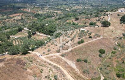 KEMALPAŞA YEŞİLKÖY’DE KADASTRAL YOLA CEPHELİ 5 DÖNÜM YATIRIMLIK ARAZİ