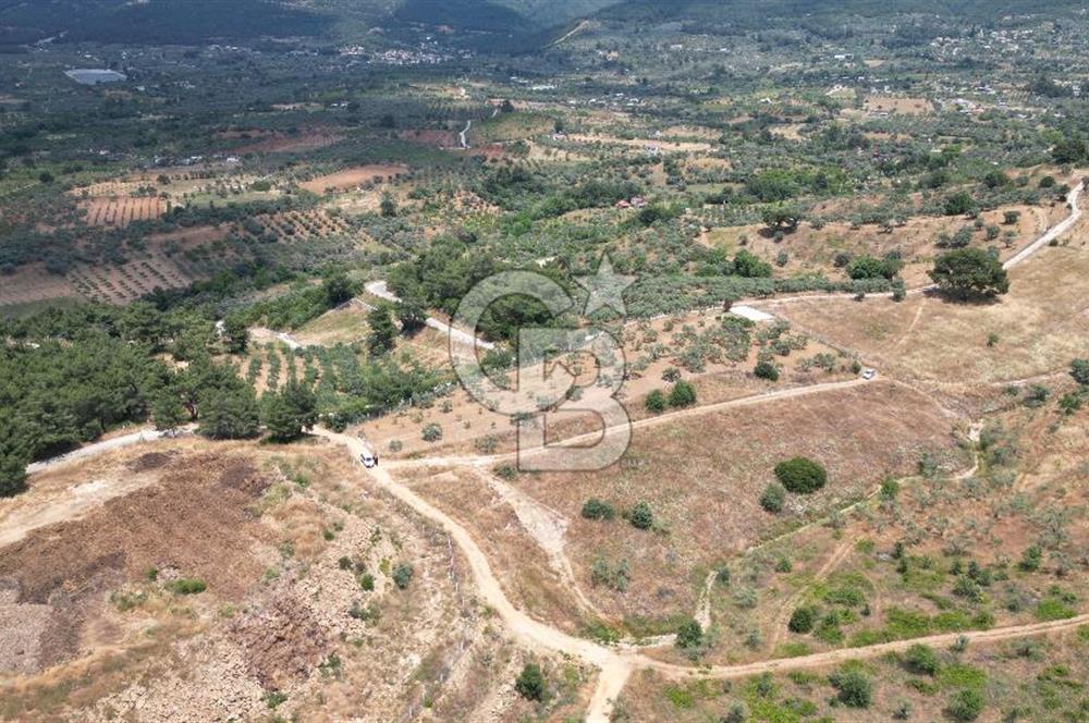 KEMALPAŞA YEŞİLKÖY’DE KADASTRAL YOLA CEPHELİ 5 DÖNÜM YATIRIMLIK ARAZİ