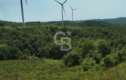 Çanakkale Lapseki Dumanlı Köyü 5066 m² Satılık Tarla
