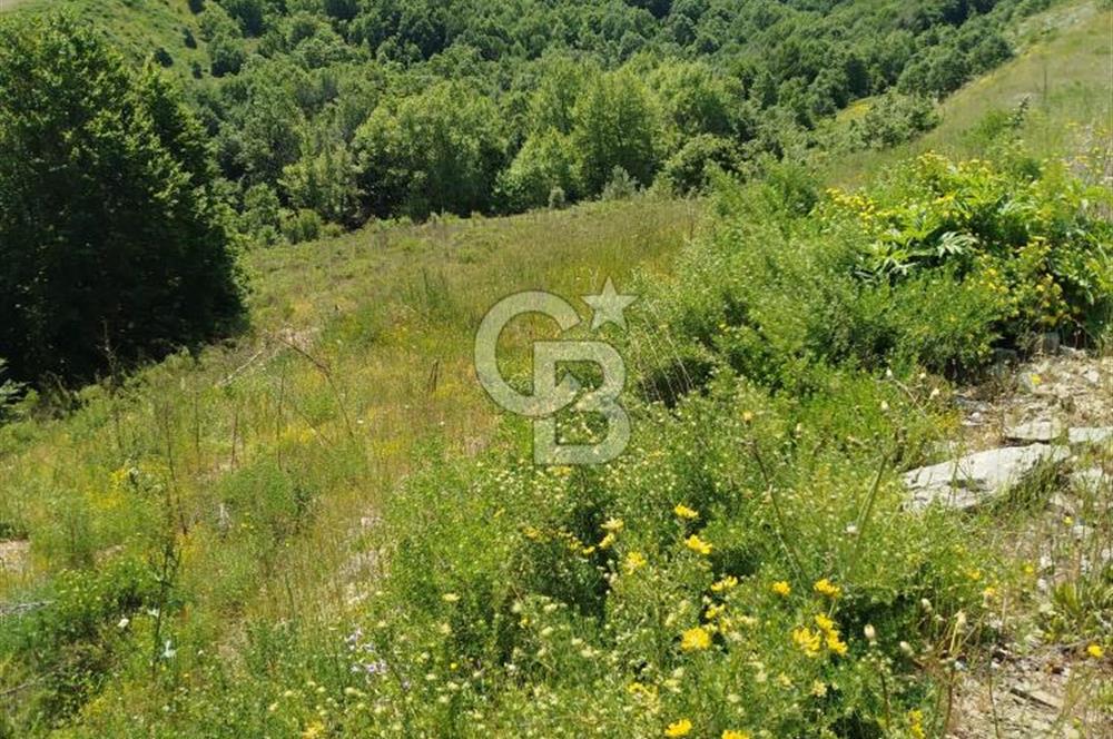 Çanakkale Lapseki Dumanlı Köyü 5066 m² Satılık Tarla