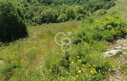 Çanakkale Lapseki Dumanlı Köyü 5066 m² Satılık Tarla