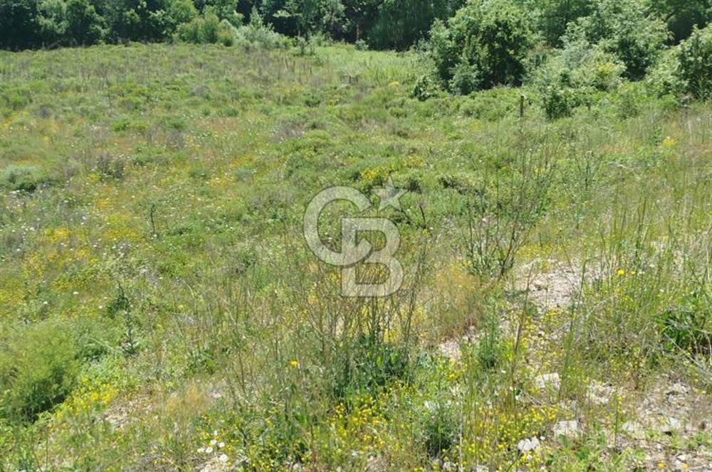 Çanakkale Lapseki Dumanlı Köyü 5066 m² Satılık Tarla