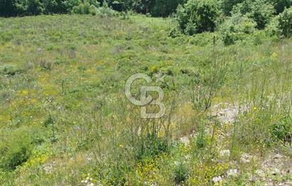 Çanakkale Lapseki Dumanlı Köyü 5066 m² Satılık Tarla