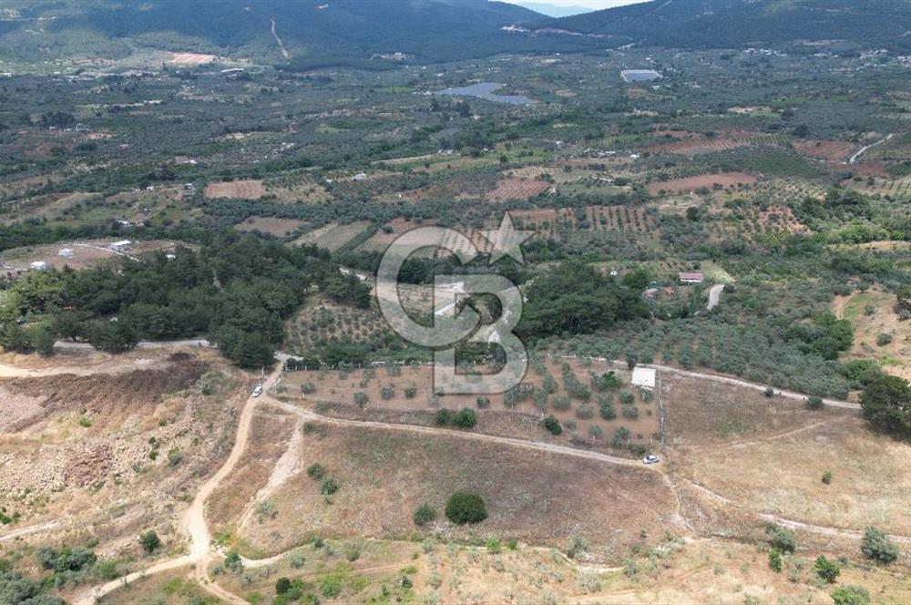 KEMALPAŞA YEŞİLKÖY’DE KADASTRAL YOLA CEPHELİ 5 DÖNÜM YATIRIMLIK ARAZİ