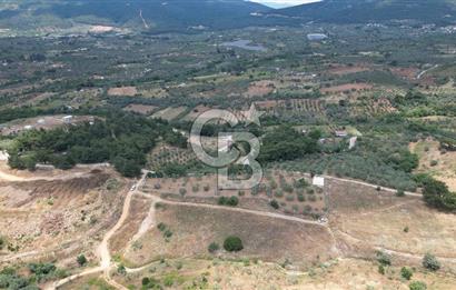KEMALPAŞA YEŞİLKÖY’DE KADASTRAL YOLA CEPHELİ 5 DÖNÜM YATIRIMLIK ARAZİ