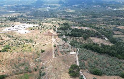 KEMALPAŞA YEŞİLKÖY’DE KADASTRAL YOLA CEPHELİ 5 DÖNÜM YATIRIMLIK ARAZİ