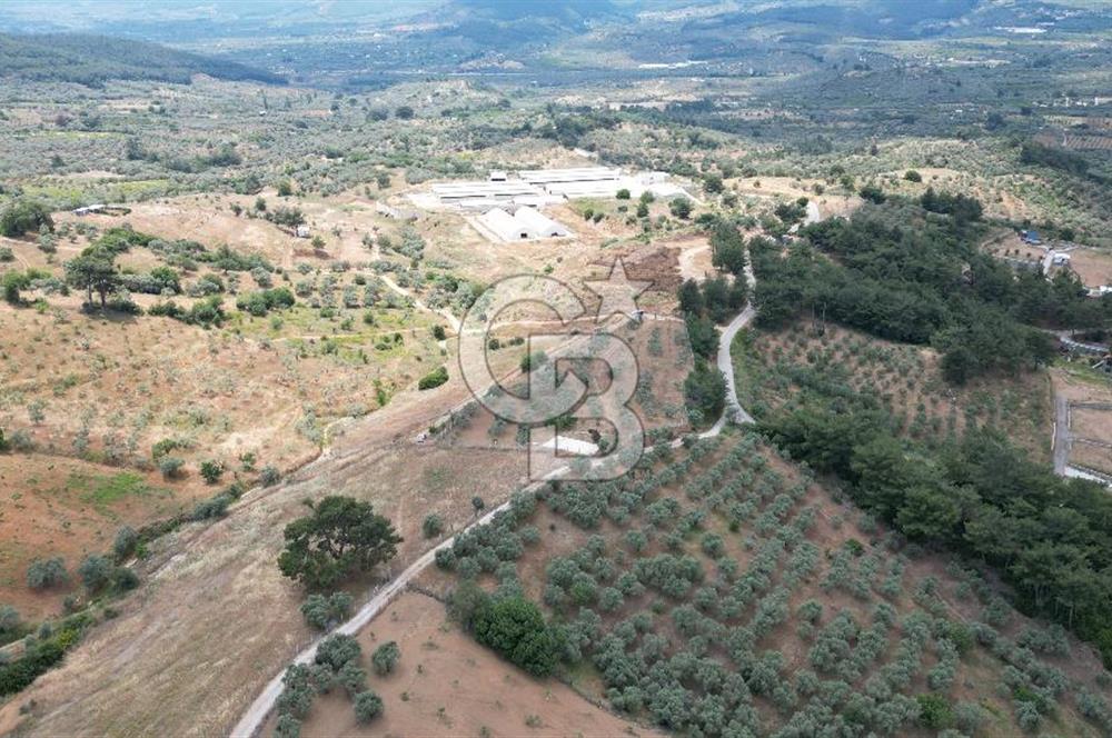 KEMALPAŞA YEŞİLKÖY’DE KADASTRAL YOLA CEPHELİ 5 DÖNÜM YATIRIMLIK ARAZİ