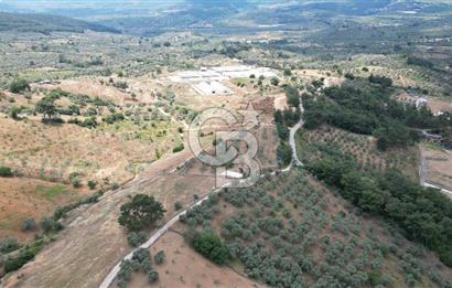 KEMALPAŞA YEŞİLKÖY’DE KADASTRAL YOLA CEPHELİ 5 DÖNÜM YATIRIMLIK ARAZİ