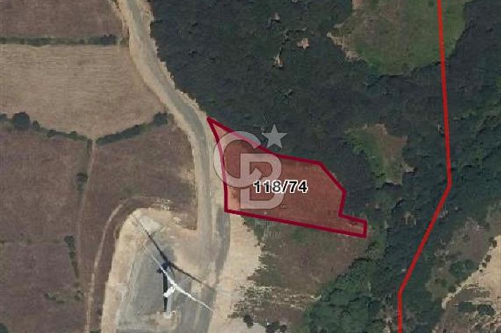 Çanakkale Lapseki Dumanlı Köyü 5066 m² Satılık Tarla