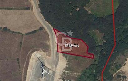 Çanakkale Lapseki Dumanlı Köyü 5066 m² Satılık Tarla
