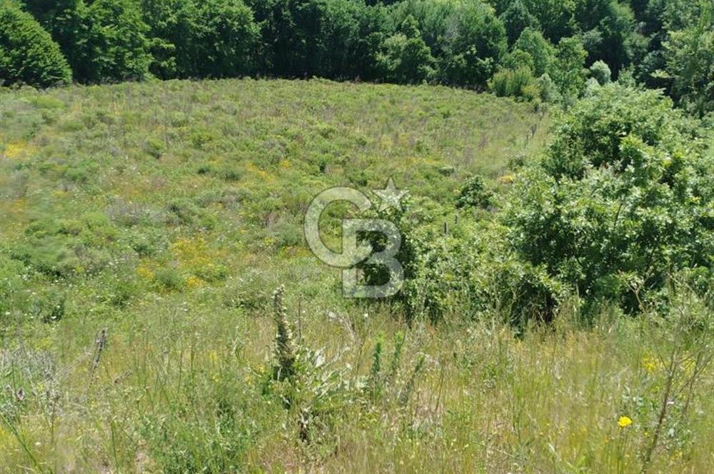 Çanakkale Lapseki Dumanlı Köyü 5066 m² Satılık Tarla