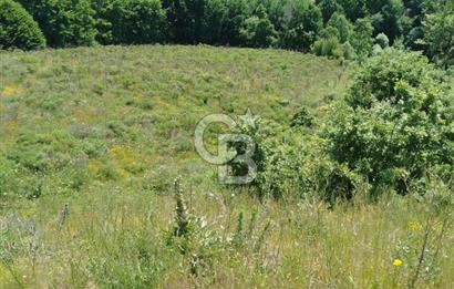 Çanakkale Lapseki Dumanlı Köyü 5066 m² Satılık Tarla