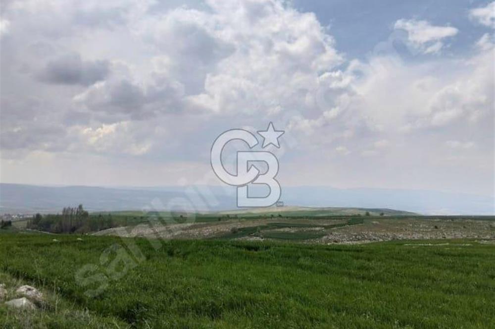 ÜCRET YATIRIMLIK TARLA 