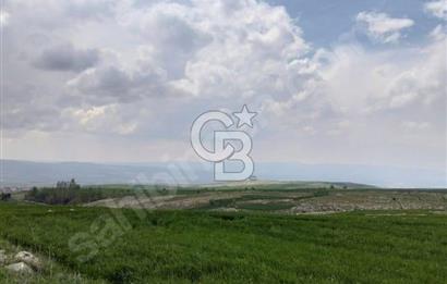 ÜCRET YATIRIMLIK TARLA 