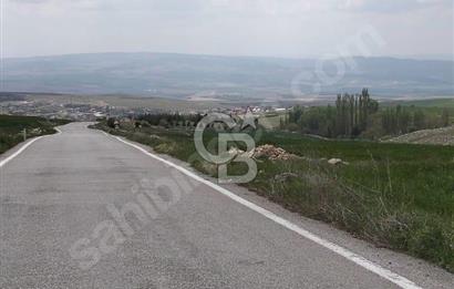 ÜCRETTE ASFALTA CEPHE 16 DÖNÜM SATILIK TARLA