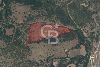 Balıkesir Savaştepe Yunakdere'de Satılık Yatırımlık Tarla