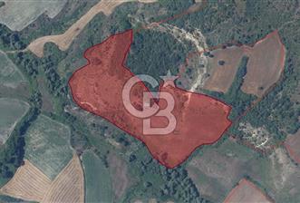 Balıkesir Manyas Çamlı'da Satılık Tarla