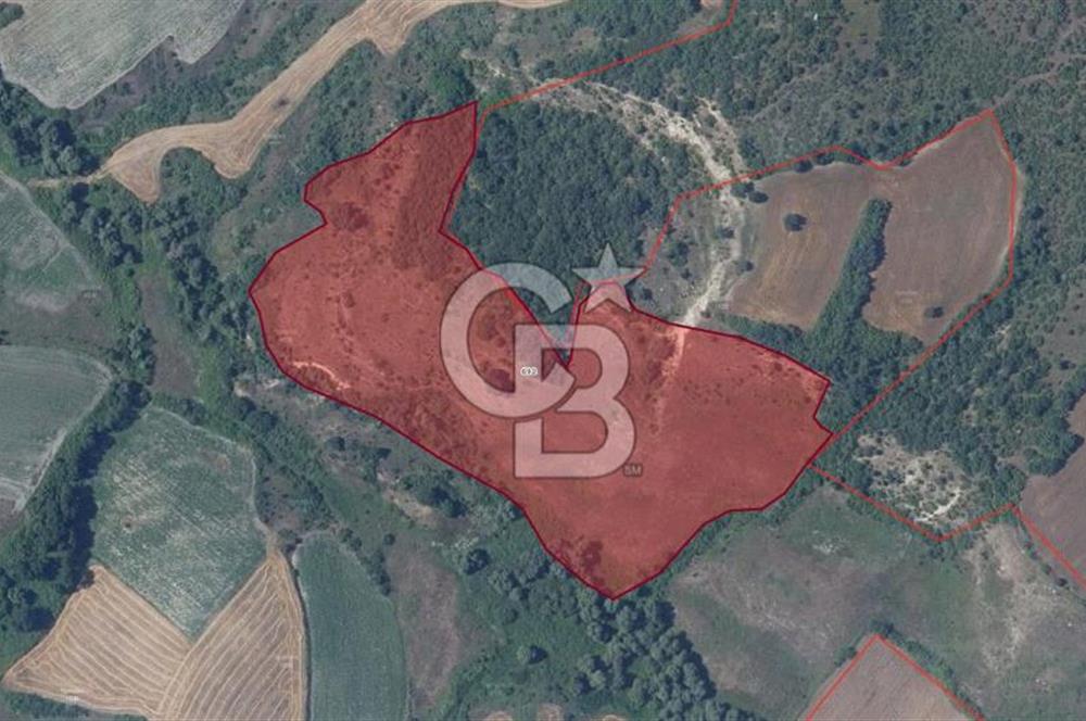Balıkesir Manyas Çamlı'da Satılık Tarla