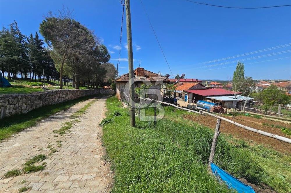 Pamukkale Güzelpınar da Satılık Fırsat 292 M² Arsa