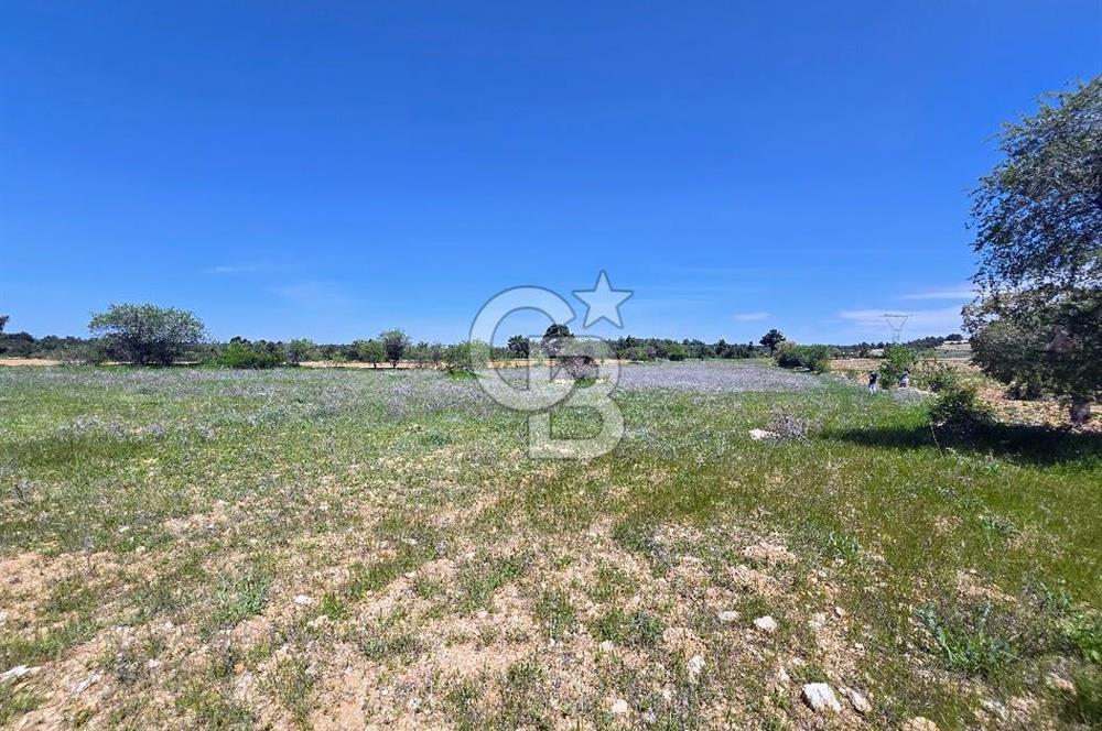 Pamukkale Güzelpınar'da 9056 M² Takasa Açık Satılık Arazi