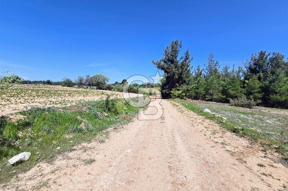 Pamukkale Güzelpınar'da 9056 M² Takasa Açık Satılık Arazi