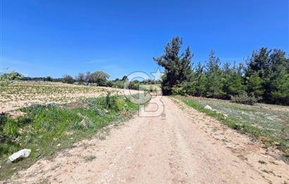 Pamukkale Güzelpınar'da 9056 M² Takasa Açık Satılık Arazi