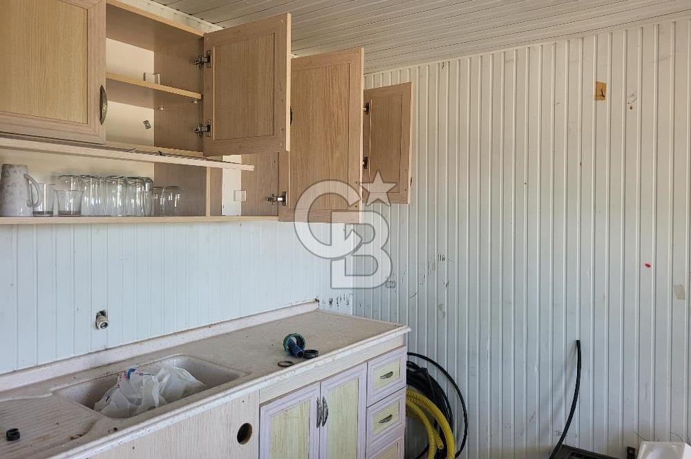Foça Gerenköy'de Satılık Muhteşem Zeytinlik