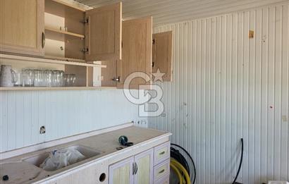 Foça Gerenköy'de Satılık Muhteşem Zeytinlik