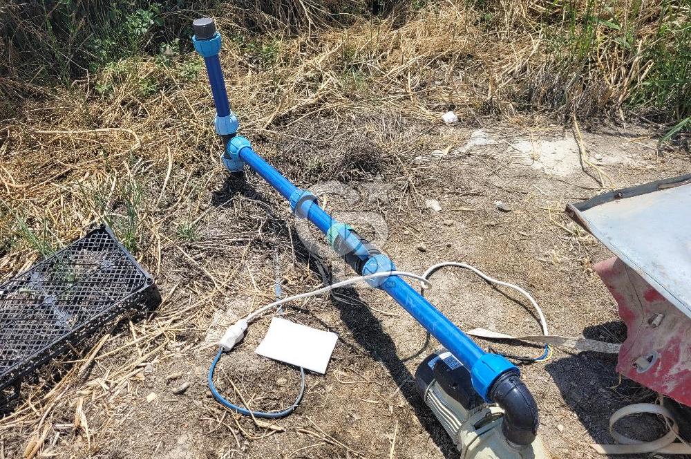 Foça Gerenköy'de Satılık Muhteşem Zeytinlik