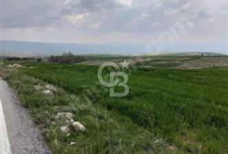 ÜCRETTE ASFALTA CEPHE 16 DÖNÜM SATILIK TARLA
