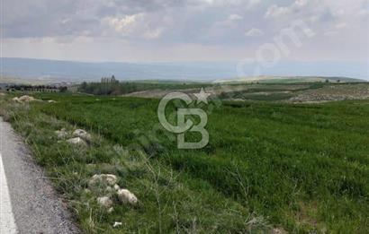 ÜCRETTE ASFALTA CEPHE 16 DÖNÜM SATILIK TARLA