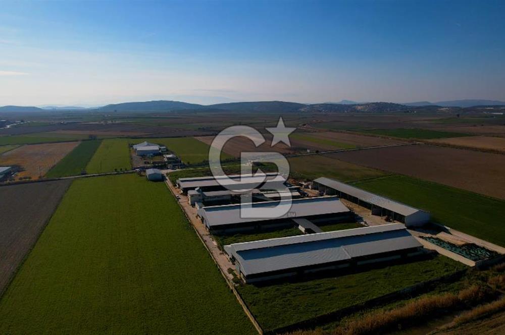 MENEMEN'DE TİCARİ DEPO İMARLI TAM DONANIMLI SÜT VE BESİ ÇİFTLİĞİ