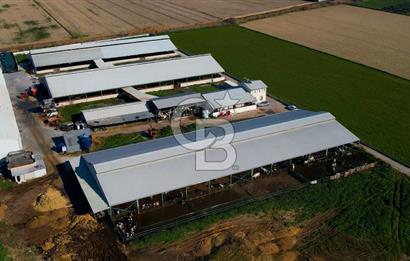 MENEMEN'DE TİCARİ DEPO İMARLI TAM DONANIMLI SÜT VE BESİ ÇİFTLİĞİ