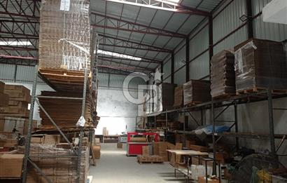 BUCA'DA KİRACILI YATIRIMLIK 600 M2 İŞ YERİ