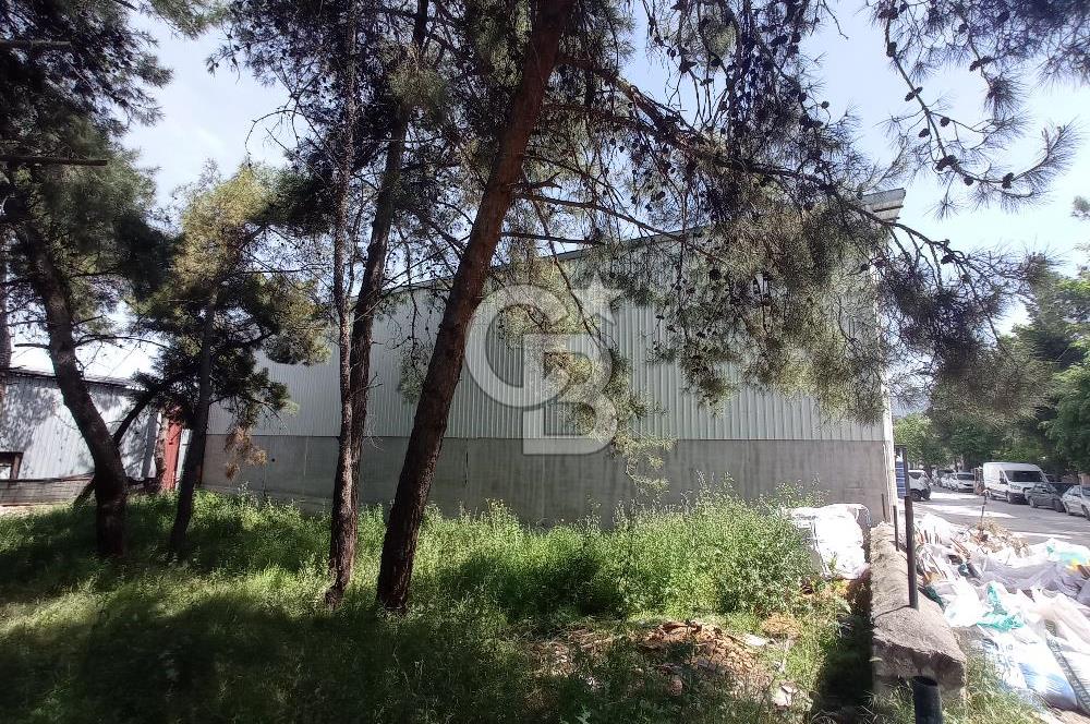 BUCA'DA KİRACILI YATIRIMLIK 600 M2 İŞ YERİ