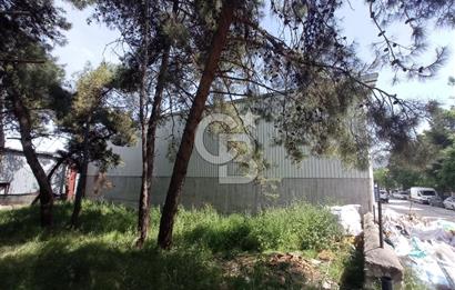 BUCA'DA KİRACILI YATIRIMLIK 600 M2 İŞ YERİ