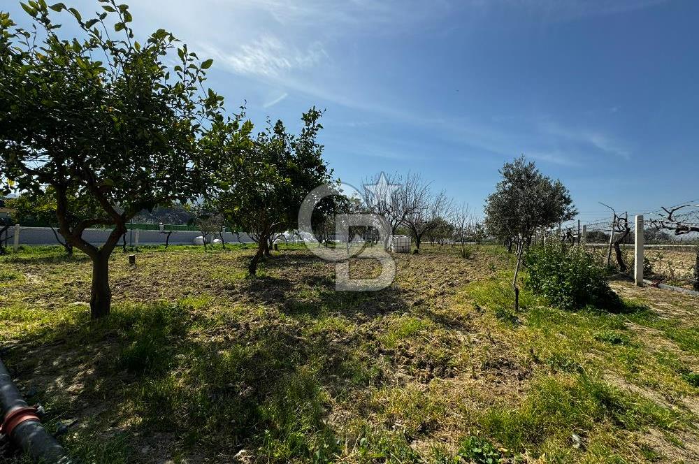 MENEMEN/SÜLEYMANLI'DA SATILIK YOLA SIFIR 2+1 BAHÇELİ BAĞ EVİ